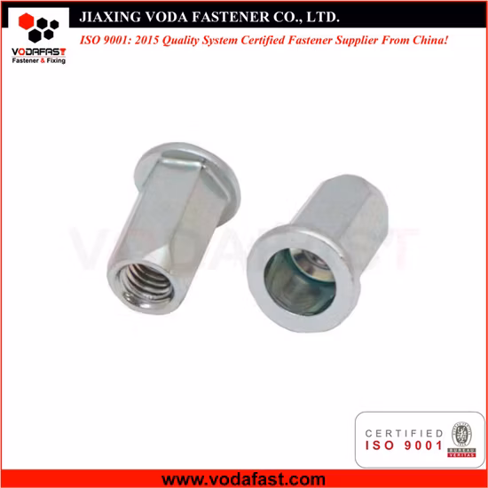 Vodafast Flachkopf-Nietmutter mit sechseckigem Körper